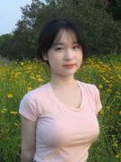 处所财务收入遭到必然